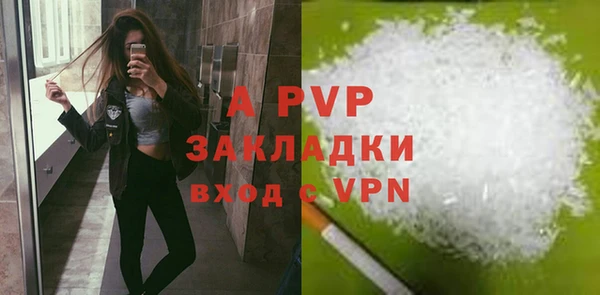 a pvp Белокуриха